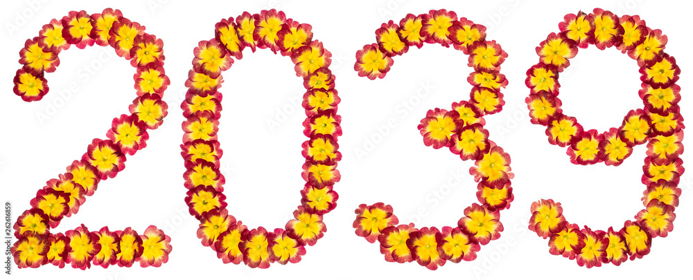 Inscription 2039, from natural flowers of primula, isolated on white background