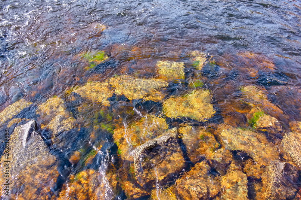 Water streams of a mountain river washing stones covered with colored moss.