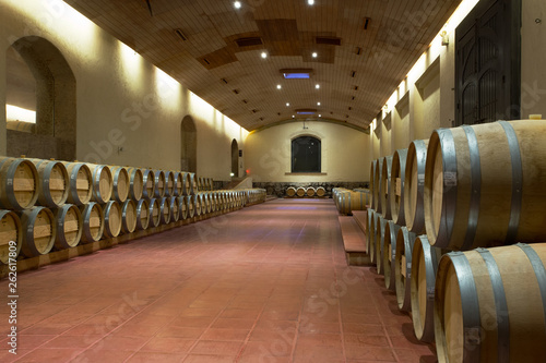 Oak Wine Vats, Maipo Valley, Chile photo