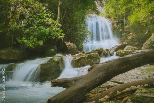 Beautiful waterfall at rainforest