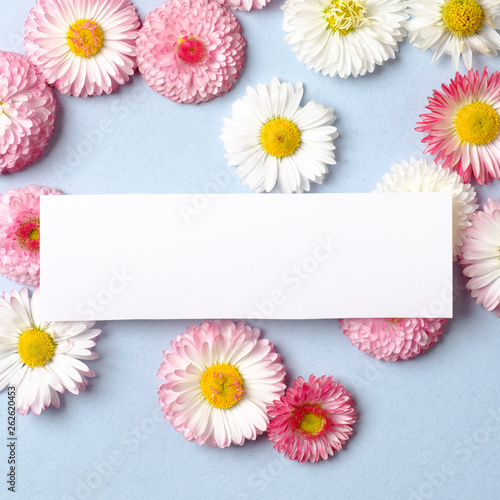 Creative layout made of daisy spring flowers and blank paper card. Minimal holiday concept. Flat lay pattern. Top view, overhead