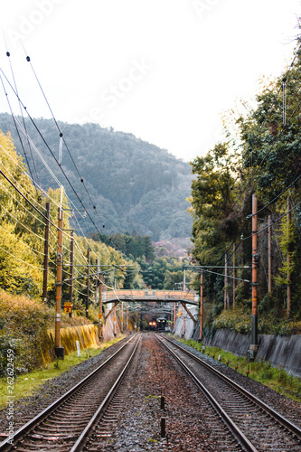 Train Tracks at Bamboo forest at Arashiyama in Kyoto, Japan