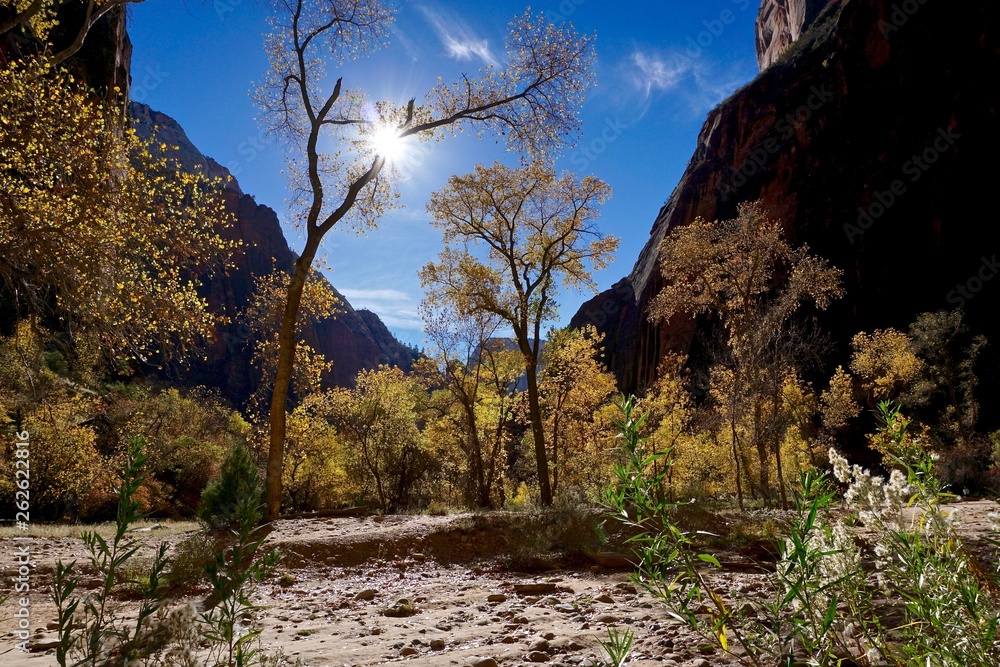 Fotografie zion national park