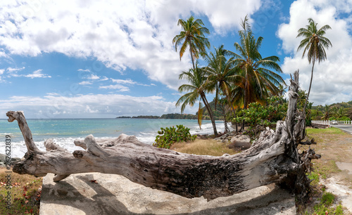Republic of Trinidad and Tobago - Tobago island - Roxborough beach - Tropical beach of Atlantic ocean photo