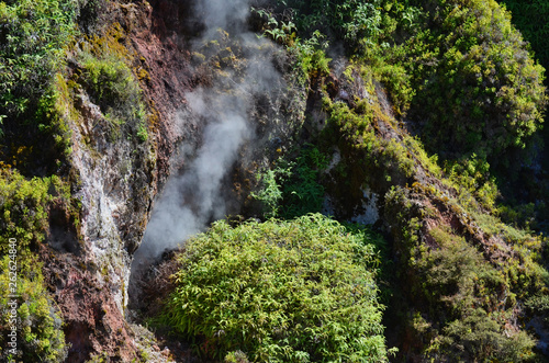 New Zealand Volcanic Fumarole with Moss Variety