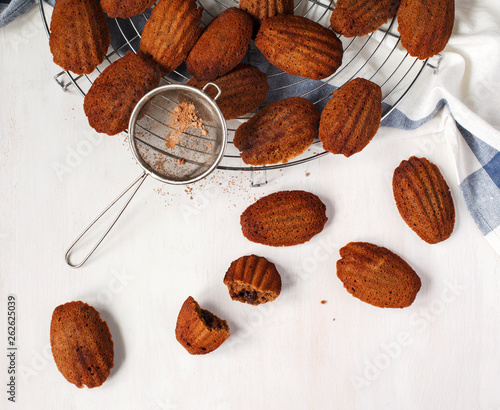 Chocolate Madeleine. French Madeleine photo