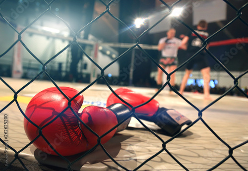 Fototapeta MMA fight scene with boxing gloves in foreground