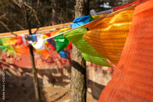 Colorful Tibetan prayer flags hanging on ropes attached to trees in Hebei province, China. photo