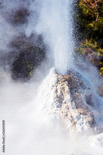 Lady Knox Geyser on the North Island in Wai-O-Tapu, Rotorua, New Zealand. With selective focus. Vertical.