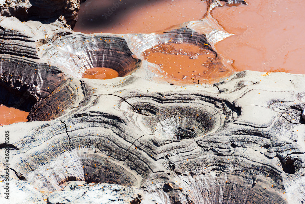Φωτογραφία Mud pool with craters in Wai-O-Tapu geothermal area, Rotorua, New Zealand