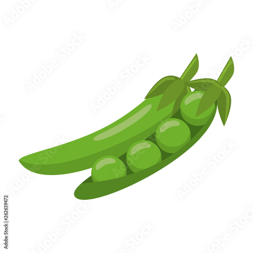 fresh vegetables peas cartoon