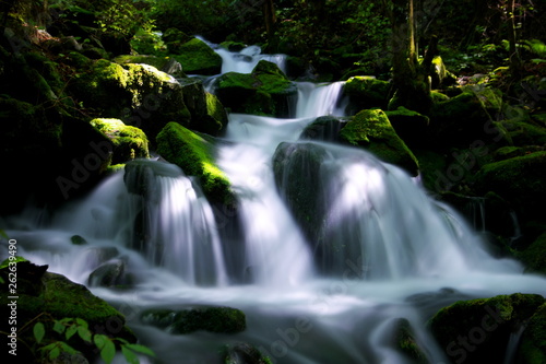 MOSSY  VALLEY IN KOREA