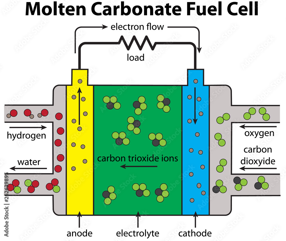 Fuel Cell Molten Carbonate Diagram Stock Vector Adobe Stock