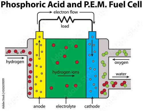 Fuel Cell Phosphoric Diagram