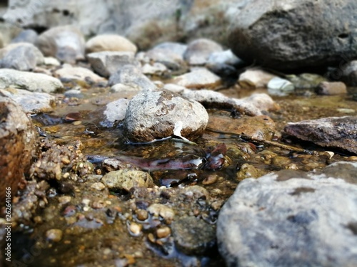 Piedra en agua