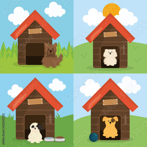 cute little dogs in wooden house pets characters