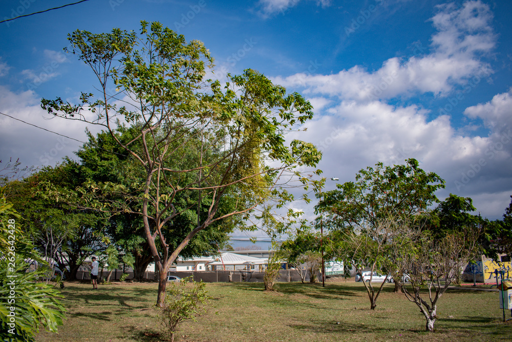 Park Park