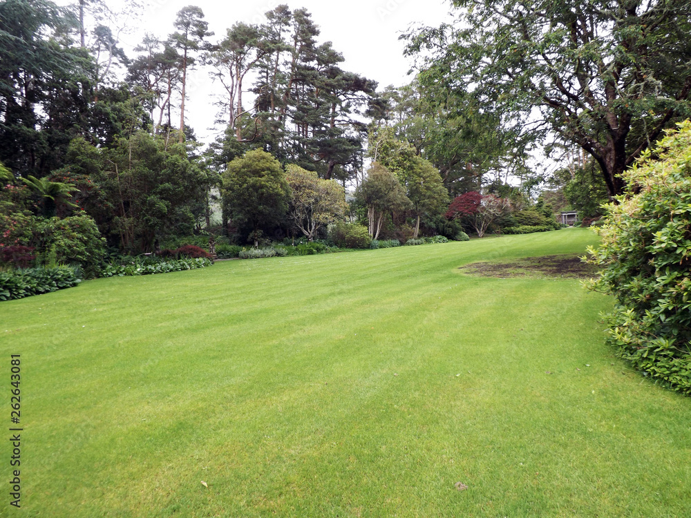 Lawn and trees in Co. Antrim Northern Ireland