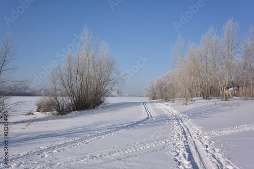 Winter Siberian forest, Omsk region © alekskai