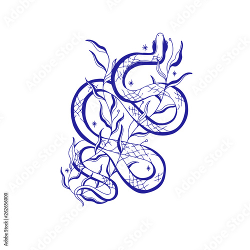 Mystic snake illustration, esoteric sign,magic life. Vintage old style, graphic line. Isolated in white background.