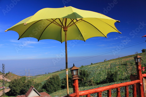 Yellow umbrella at restaurant on Khao Kor Mount. Petchaboon Province Thailand.