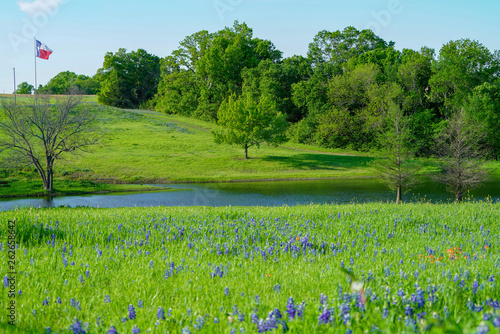 View of blooming bluebonnet wildflowers with pond and Texas flag along countryside near Texas Hill Country