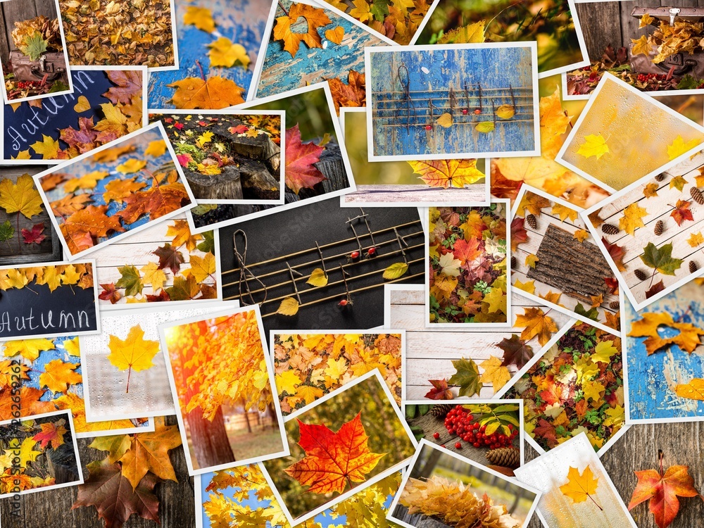 Colorful autumn collage. Autumn creative set of photos Colorful autumn collage. Autumn creative set of photos