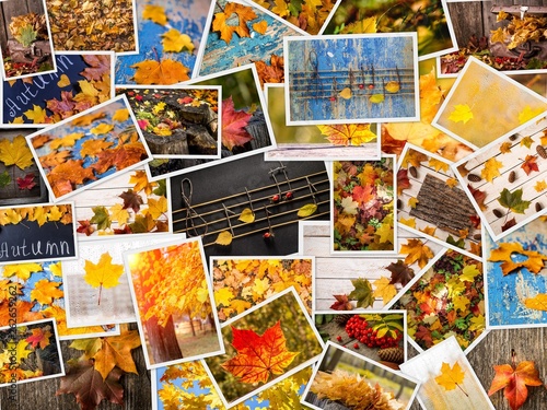 Colorful autumn collage. Autumn creative set of photos