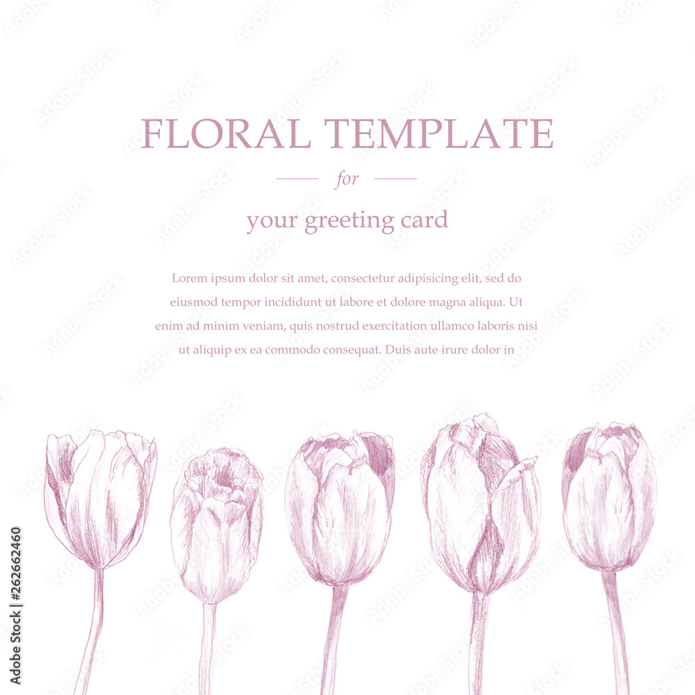 Greeting/invitation card template design, pink tulip flowers 