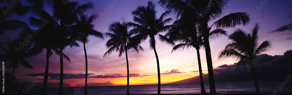 Silhouette of Palm Trees with Colourful Sunset and Twilight Sky. Panorama of Sunset Over the Ocean with Tropical Palm Trees
