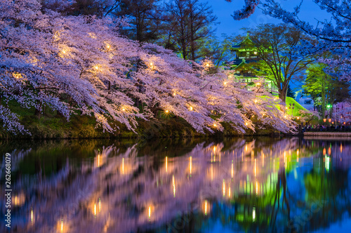 Takada castle in spring with cherry blossam in Niigata