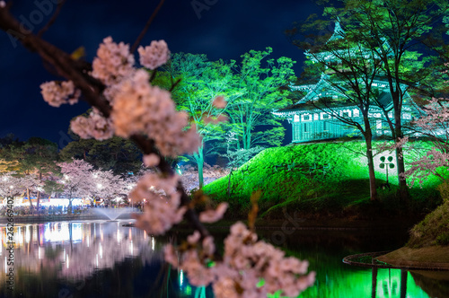 Takada castle in spring with cherry blossam in Niigata