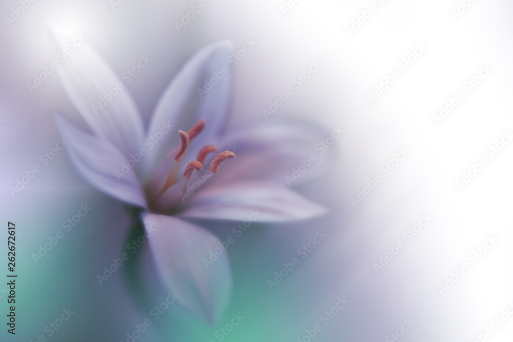 Beautiful Nature Background.Colorful Artistic Wallpaper.Natural Macro Photography.Beauty in Nature.Creative Floral Art.Tranquil nature closeup view.Blurred space for your text.Wedding Invitation. Beautiful Nature Background.Colorful Artistic Wallpaper.Natural Macro Photography.Beauty in Nature.Creative Floral Art.Tranquil nature closeup view.Blurred space for your text.Wedding Invitation.