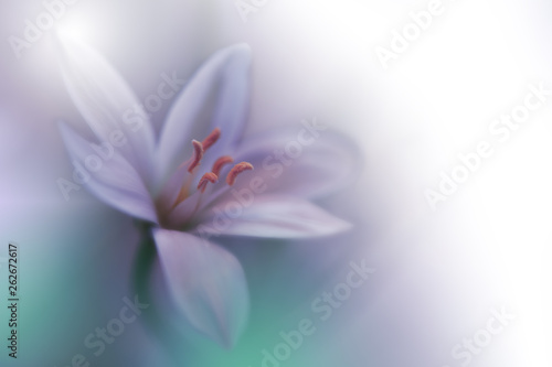 Beautiful Nature Background.Colorful Artistic Wallpaper.Natural Macro Photography.Beauty in Nature.Creative Floral Art.Tranquil nature closeup view.Blurred space for your text.Wedding Invitation.