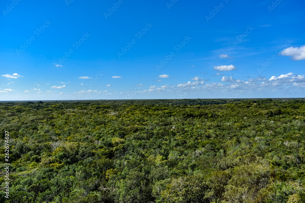 Landscape of Yucatan Peninsula