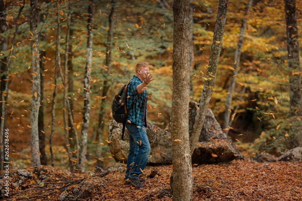 Redhead man in a plaid shirt and purple t-shirt walks through the autumn forest with his hands raised and enjoys the leaves falling from the trees. Autumn, travel and happiness concept.