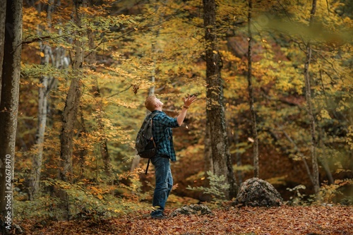 Redhead man in a plaid shirt and purple t-shirt walks through the autumn forest with his hands raised and enjoys the leaves falling from the trees. Autumn, travel and happiness concept.