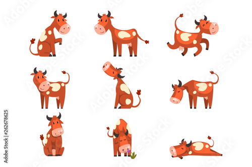 Brown spotted cow set, farm animal character in various poses vector Illustrations on a white background