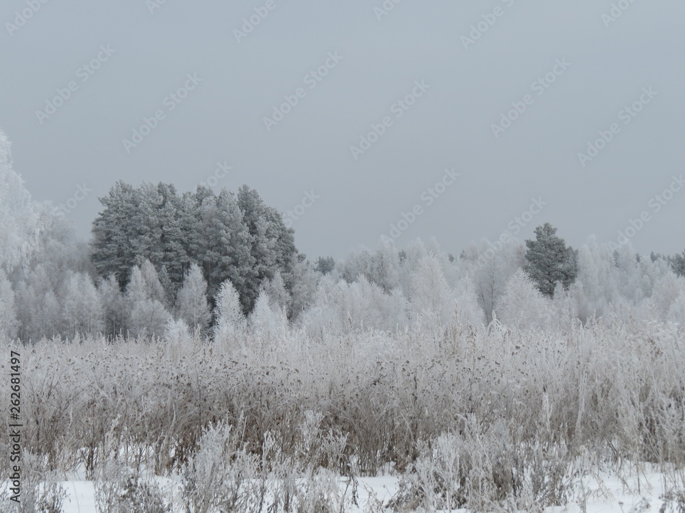 winter winter