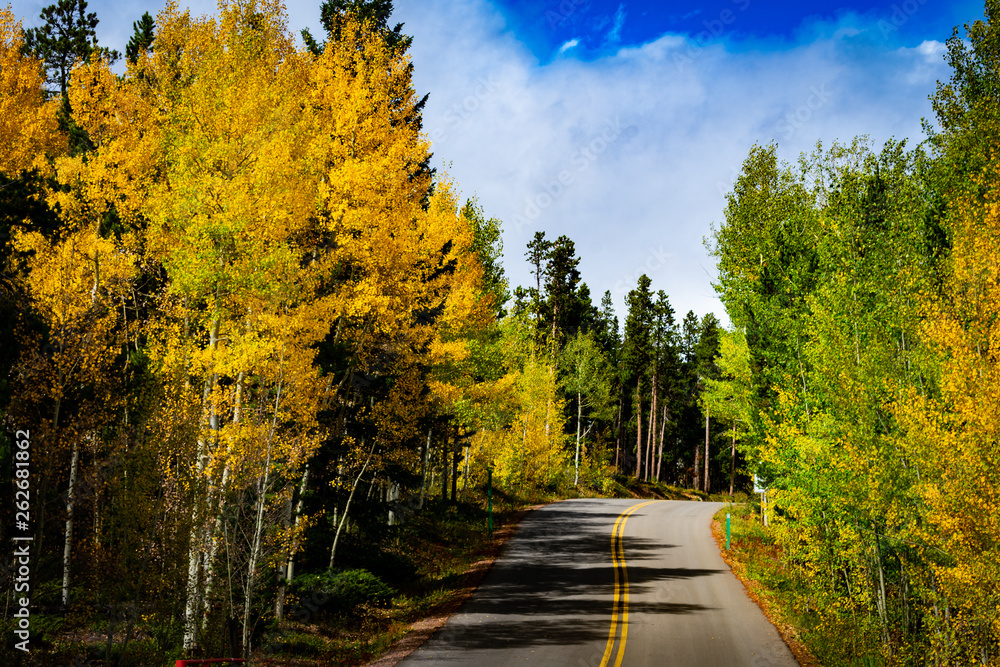 Obraz premium Golden Drive