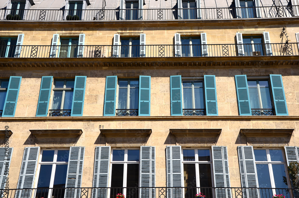 Obraz premium Buildings, windows, roofs of Paris