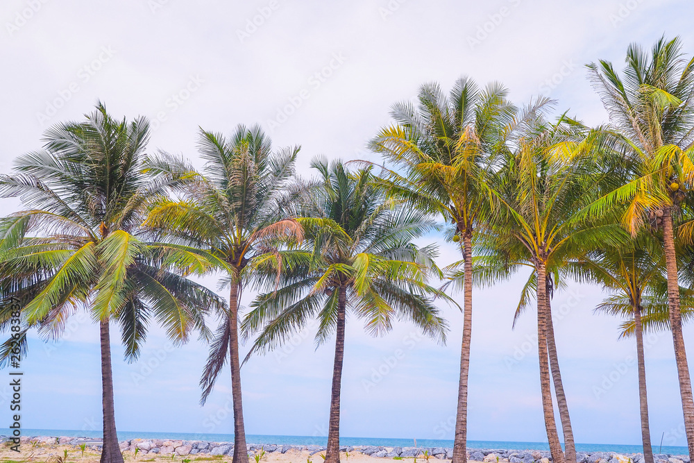 Fototapeta premium Coconut trees with sea view background ,summer or vacation concept