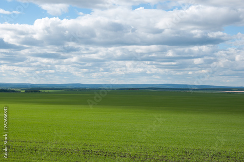 Clouds over the green sown field. © Григорий Чумаков
