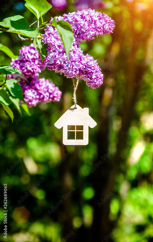 The symbol of the house among the branches of the pink lilac The symbol of the house among the branches of the pink lilac