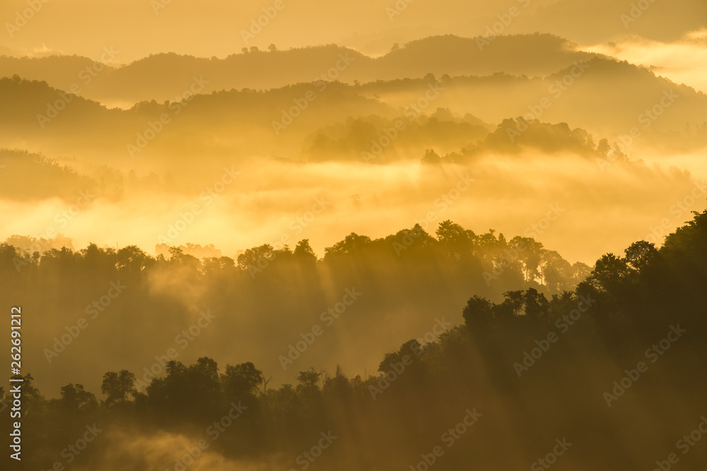 Naklejka premium mist over mountain