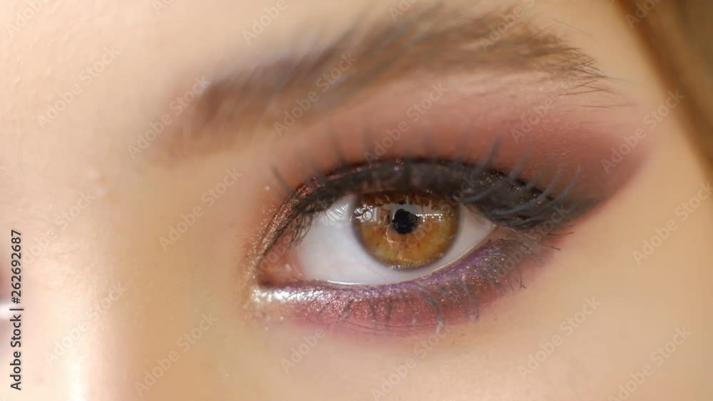 Beautiful Woman Brown eye holiday makeup. Make-up close-up. Young Woman eye macro shoot. Smokey, Smoky eyes. Beautiful Woman Brown eye holiday makeup. Make-up close-up. Young Woman eye macro shoot. Smokey, Smoky eyes.