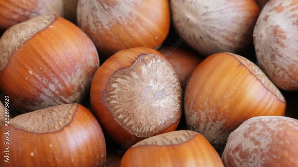 Hazelnut abstract background, top view. Rotate Hazelnut abstract background, top view. Rotate