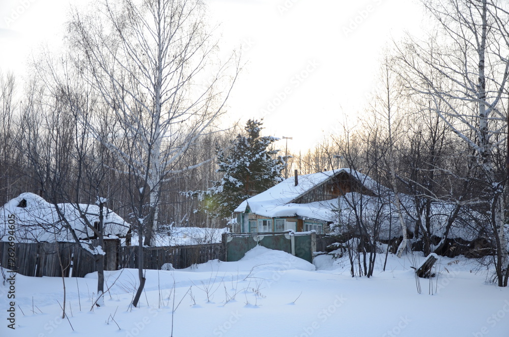 Naklejka premium winter landscape