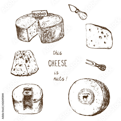 Cheese collection. Vector hand drawn illustration of cheese types . Sketch isolated on white