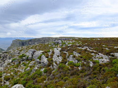 Table Mountain, Cape town, South Africa